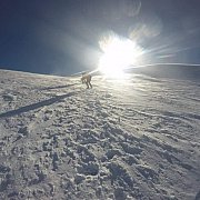 Bartek771 - mężczyzna, 48 lat, Toruń