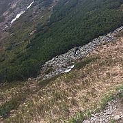 Polo7777 - muž, 46 let, Zielona Góra