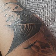 Opiume1 - мужчина, 53 лет, Toruń