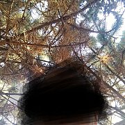 Michalkutno - muž, 38 let, Kutno