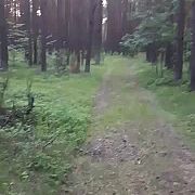 Ggg1983 - mężczyzna, 42 lat, Sosnowiec