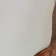 Tom1969 - mężczyzna, 56 lat, Trzebinia