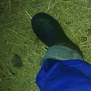 Farmerfan - man, 48 years, Gostyń