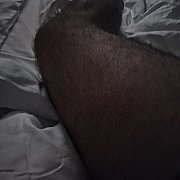 Michalmichal82 - muž, 43 let, Szczecin