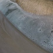 Laksap - muž, 38 let, Kraków