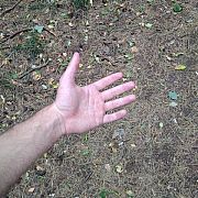 Normalny54321 - man, 31 years, Poznań