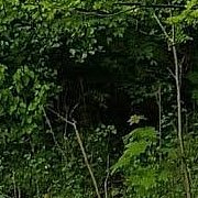 Bartezz1103 - muž, 32 let, Zielona Góra