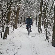 Biker81 - мужчина, 44 лет, Ruda Śląska