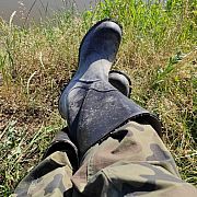 Pitras85