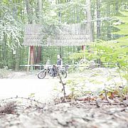 Toma37 - mężczyzna, 54 lat, Sędziszów Małopolski