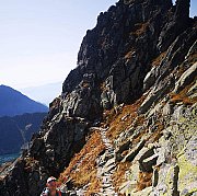 Amorek1234 - мужчина, 37 лет, Wodzisław Śląski