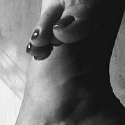 Zakonnica41 - kobieta, 50 lat, Gdańsk