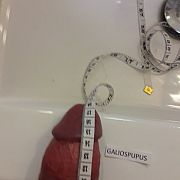 Galiospupus - mann, 36 Jahre, Gorzów Wielkopolski