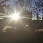 Bodzius - man, 44 years, Gdańsk