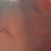 Kamilxxxy - mężczyzna, 44 lat, Płock