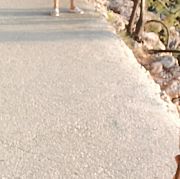 Misio1988 - мужчина, 37 лет, Warszawa