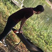 Crucio - mann, 28 Jahre, Poznań