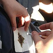 Toie - man, 30 years, Świdnica