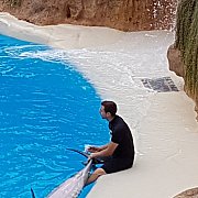 221067 - muž, 46 let, Września