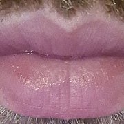 Michalczew - транссексуалы, 32 лет, Gliwice