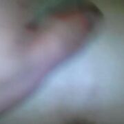 Bitbg