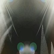 Joeblack1010 - чоловік, 40 років, Koszalin