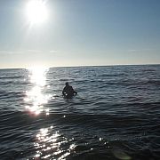 Blackhorse - muž, 36 let, Środa Wielkopolska