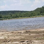 Wesoly433