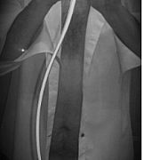 Handref - muž, 39 let, Głogów