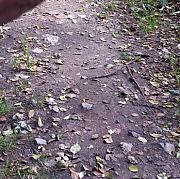 KAMEL23 - muž, 45 let, Dąbrowa Górnicza