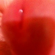 Qwertyuiop1521 - man, 26 years, Frombork