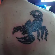 Skorpion1970 - mann, 55 Jahre, Lipiany