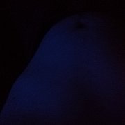 Koles88 - mann, 41 Jahre, Lubawa