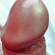 Hassan69 - mężczyzna, 45 lat, Radom