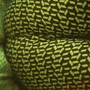 IFOrYOu - мужчина, 35 лет, Opole