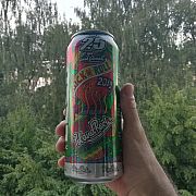 Ramzes776 - mężczyzna, 42 lat, Den Haag