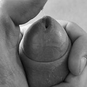 Matadore - mann, 39 Jahre, Lublin