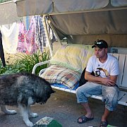 Alban1975 - mann, 50 Jahre, Nijmegen