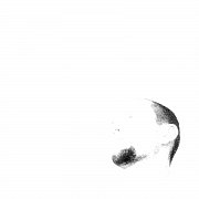 TylkoTwojOrgazm - мужчина, 31 лет, Poznań