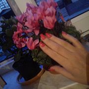 DiamondBitch95 - kobieta, 30 lat, Suczkowo :)