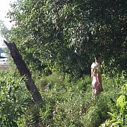 Globus666 - мужчина, 45 лет, Różan