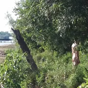 Globus666 - man, 46 years, Różan