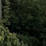 Normalnienienormalnywawa - mężczyzna, 40 lat, Warszawa