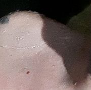 Krzysiekjakistam - mężczyzna, 37 lat, Głogów