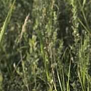 MarcinS23 - mężczyzna, 30 lat, Pszczyna