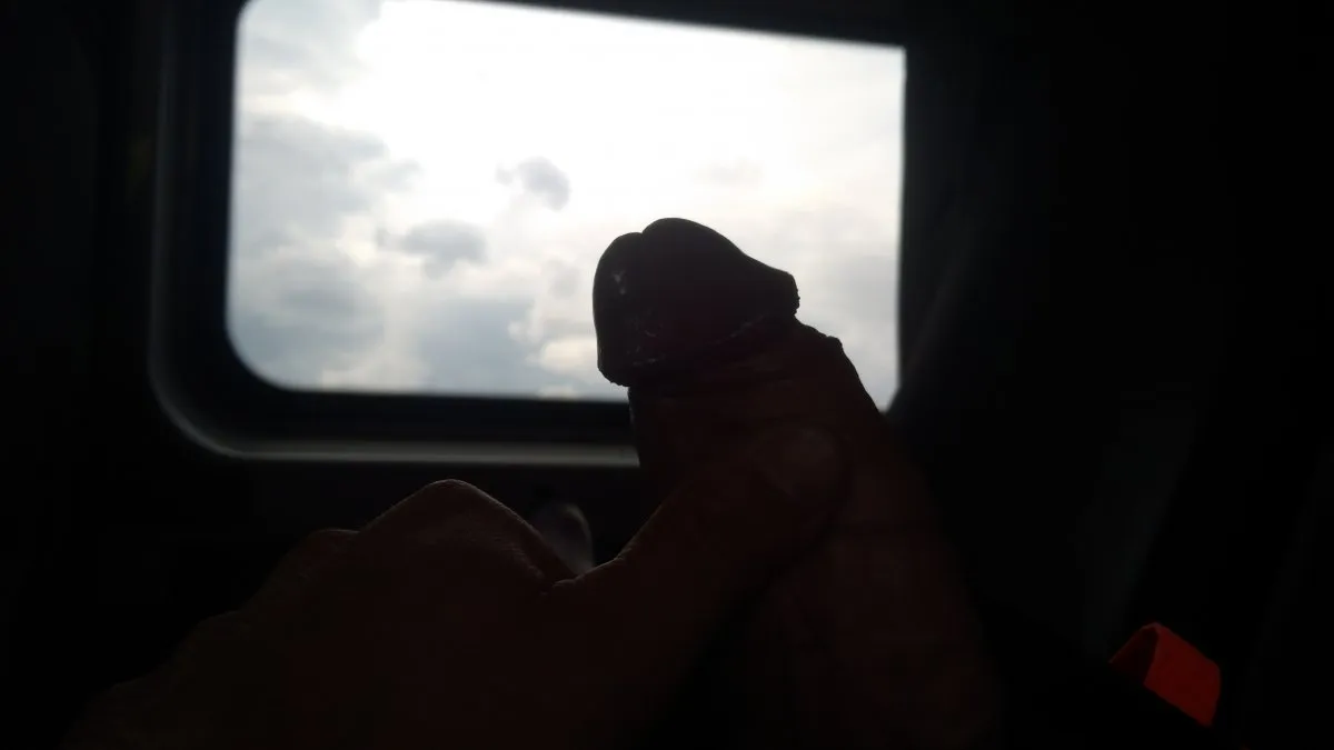 Photo in gallery