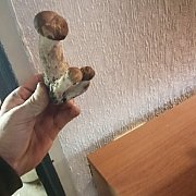 Bas18 - mężczyzna, 34 lat, Cloppenburg