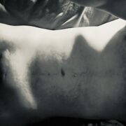 Ordinar - мужчина, 37 лет, Szczecin