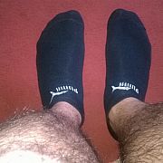 Gringo88 - mężczyzna, 36 lat, Radom