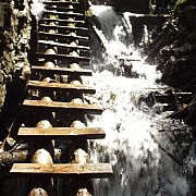 Supcio - чоловік, 59 років, Sanok